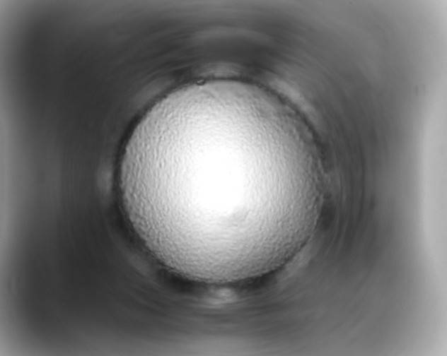 X0000088420159200706051218
