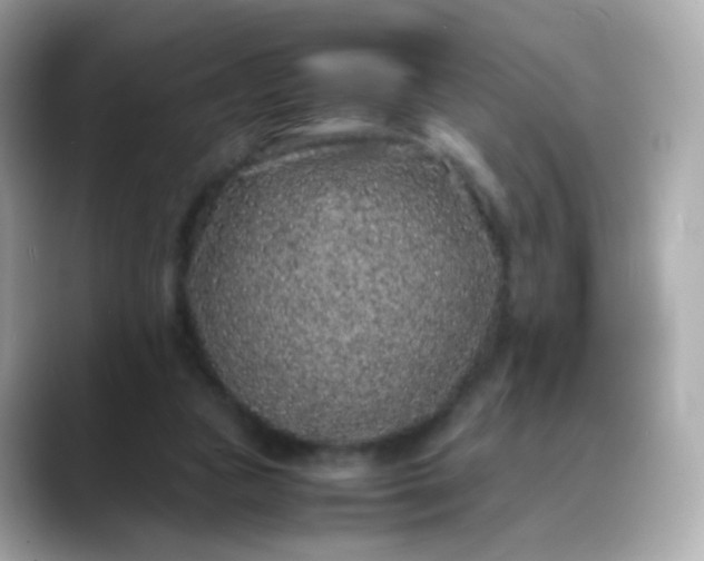 X0000088420161200706051218