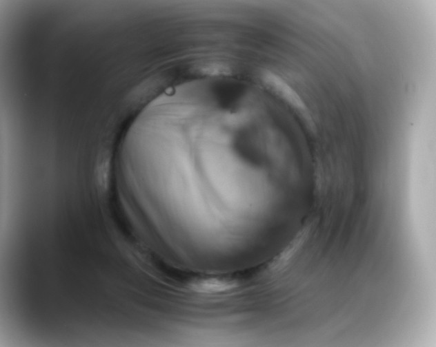X0000088420163200706051218