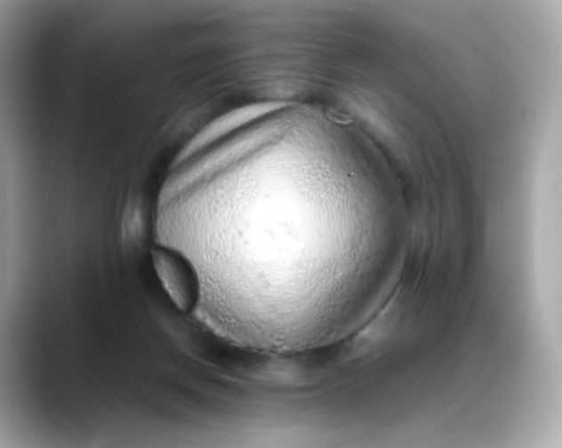 X0000088420166200706051218