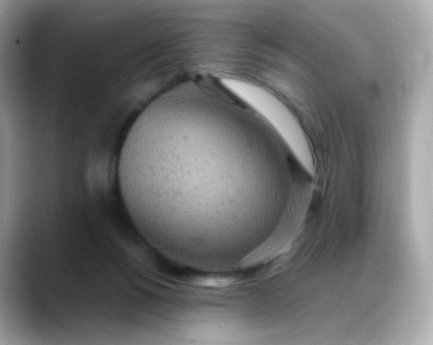 X0000088420168200706051218
