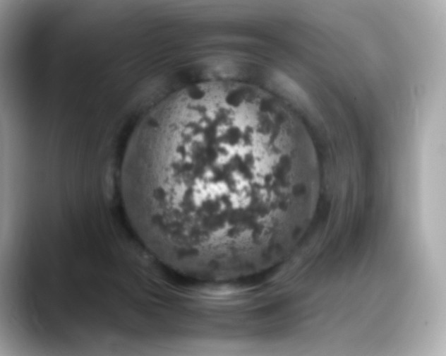X0000088420169200706051218