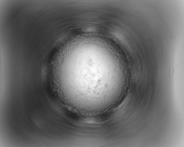 X0000088420171200706051218