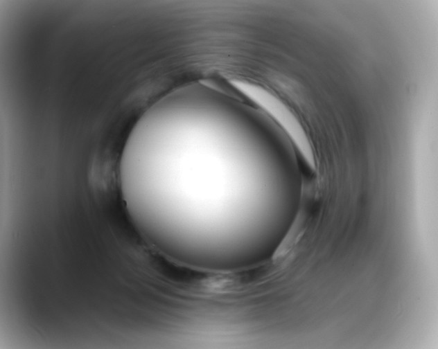 X0000088420172200706051218