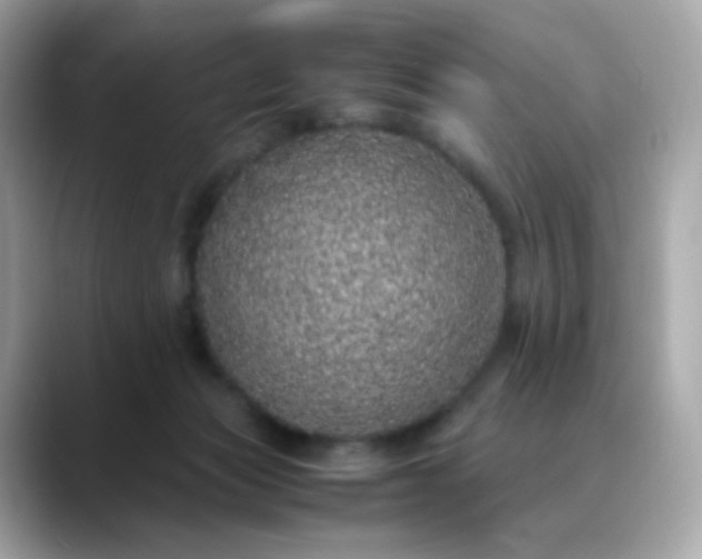 X0000088420173200706051218