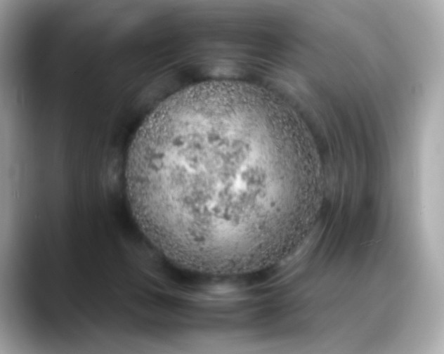 X0000088420175200706051218
