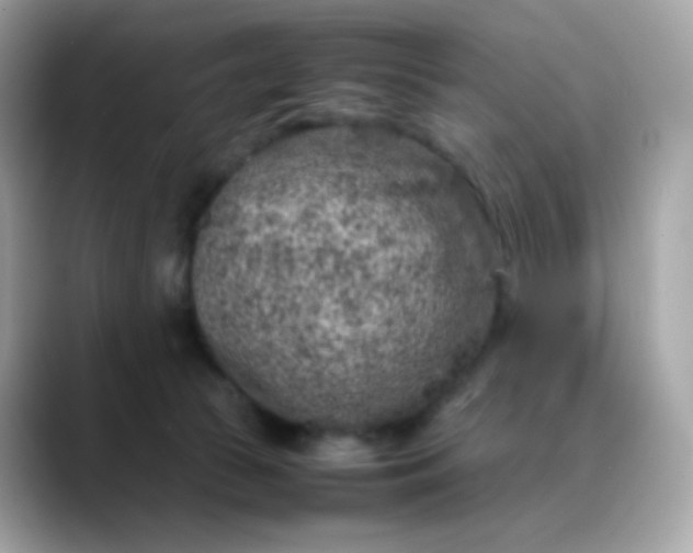 X0000088420177200706051218
