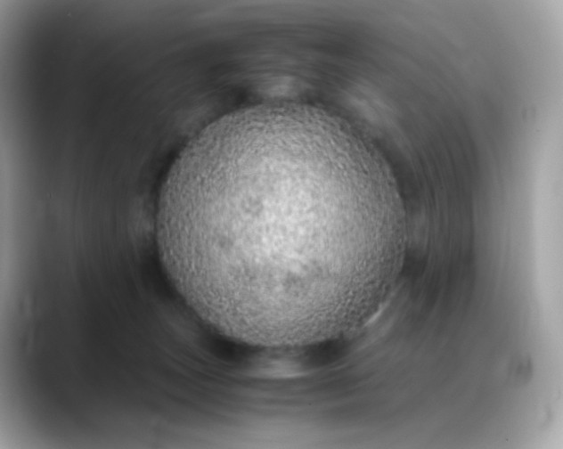X0000088420179200706051218