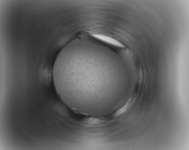 X0000088420180200706051218