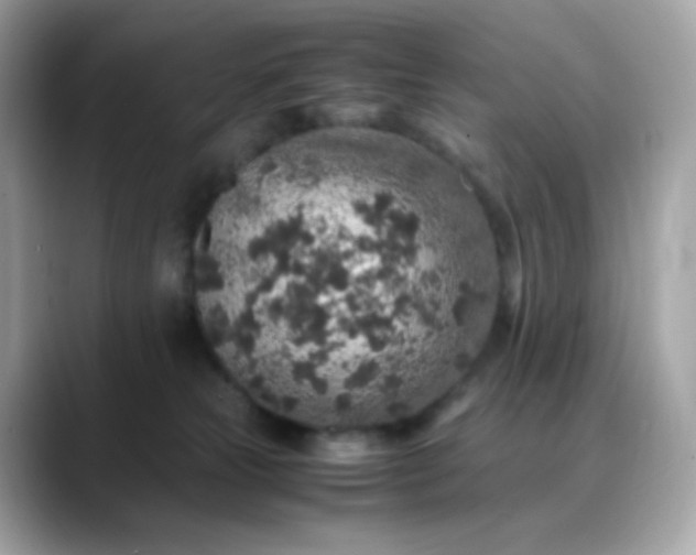 X0000088420181200706051218