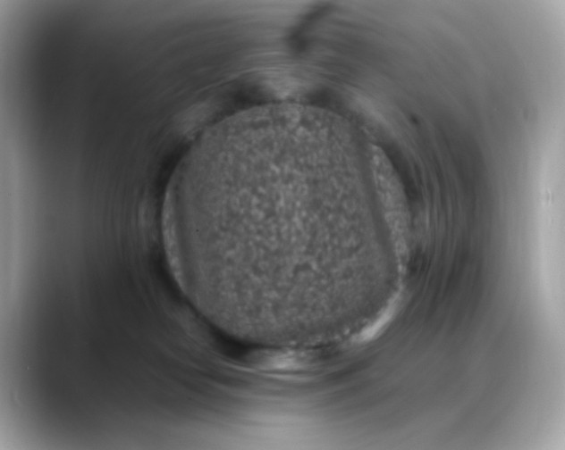 X0000088420182200706051218