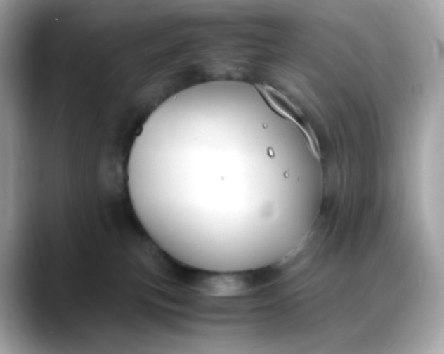 X0000088420183200706051218