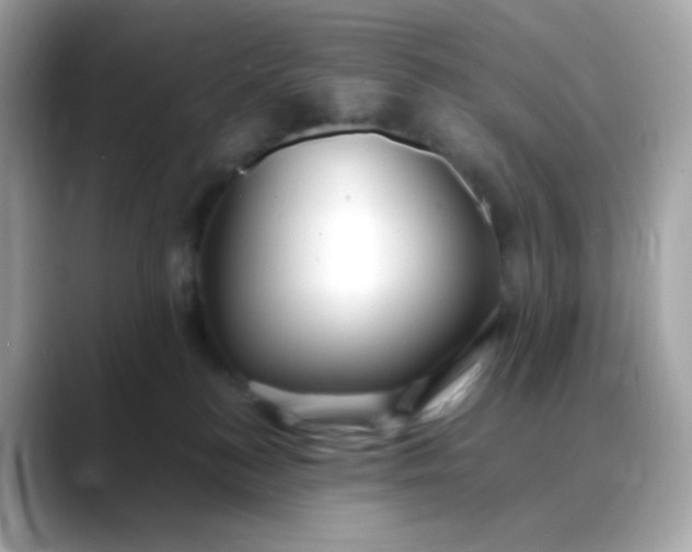 X0000088420184200706051218