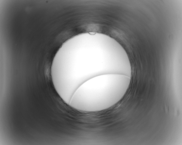 X0000088420185200706051218