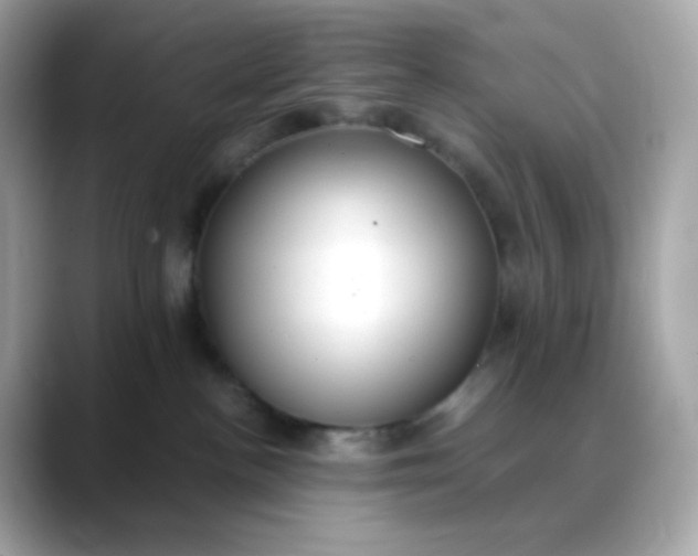 X0000088420188200706051218