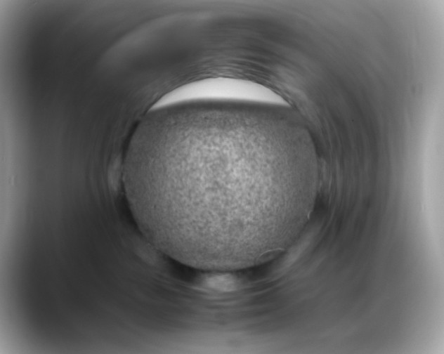 X0000088420189200706051218