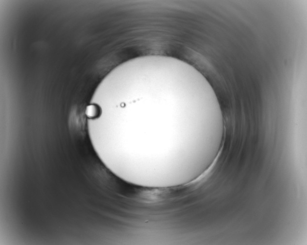 X0000088420190200706051218