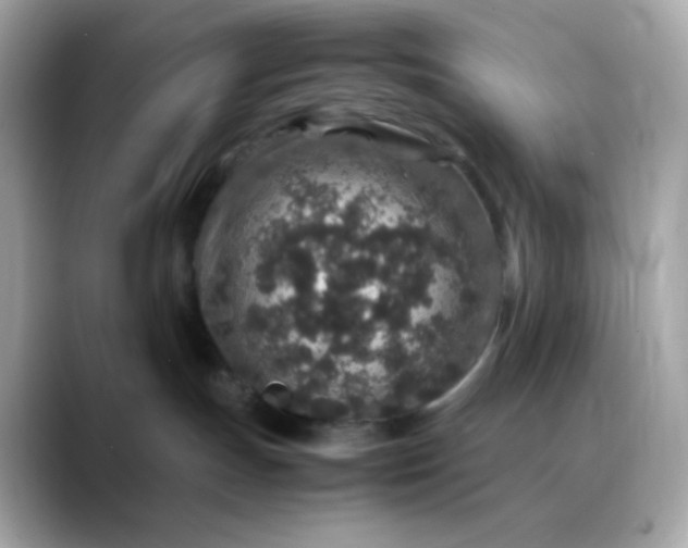 X0000088420191200706051218