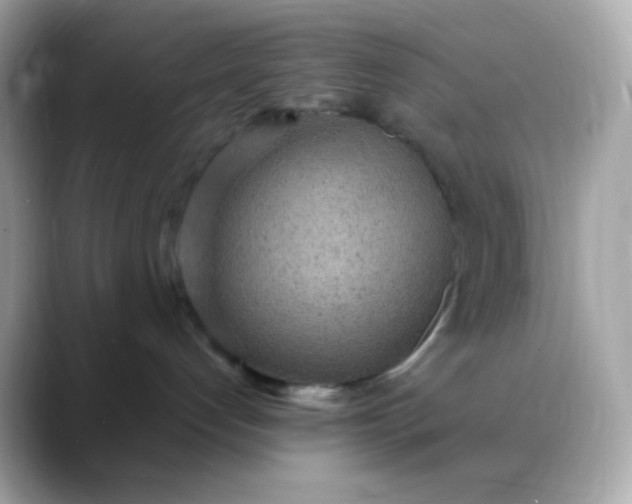 X0000088420192200706051218