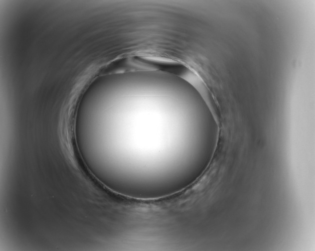 X0000088420193200706051218