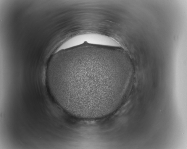 X0000088420194200706051218