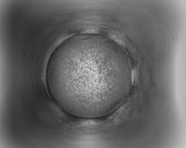 X0000088420195200706051218