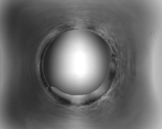 X0000088420197200706051218