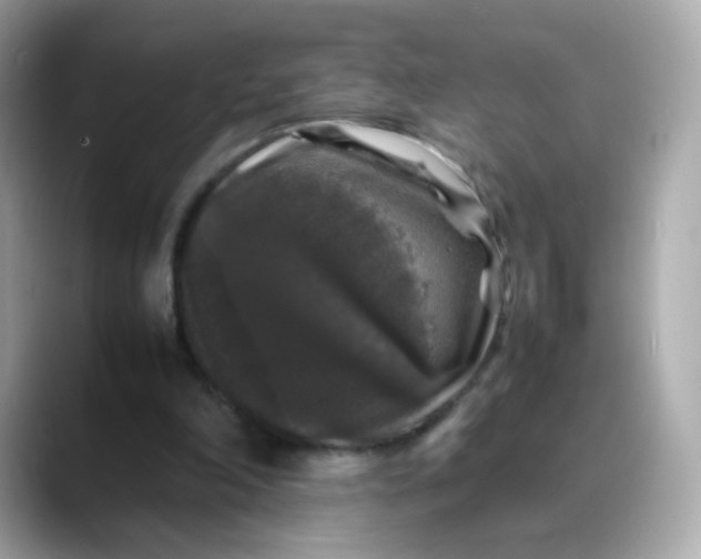 X0000088420198200706051218