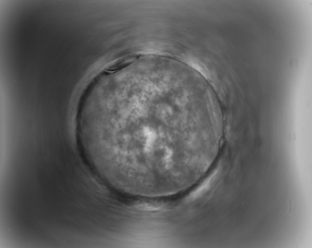 X0000088420199200706051218