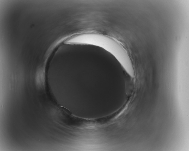 X0000088420200200706051218