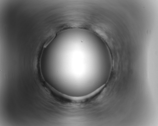 X0000088420201200706051218