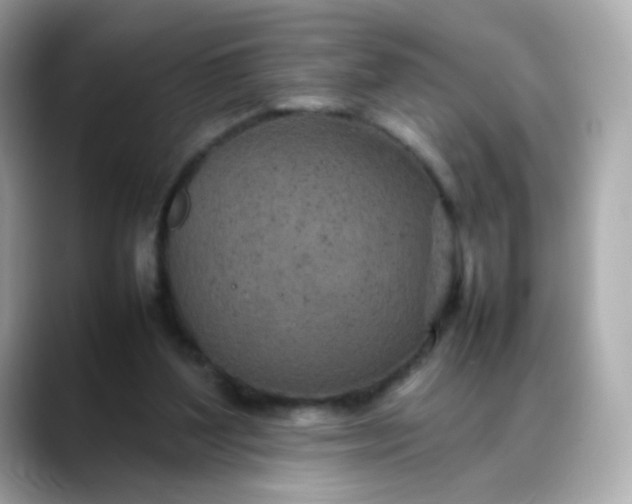 X0000088420204200706051217