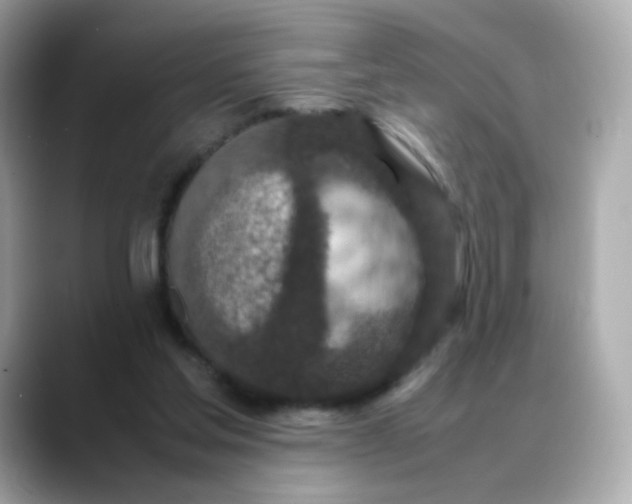 X0000088420205200706051217