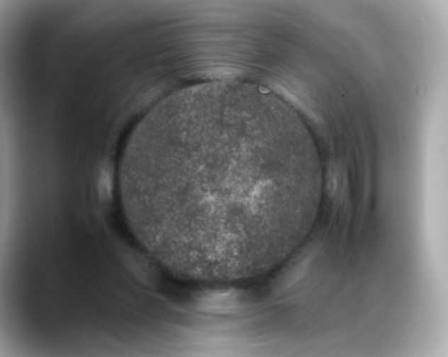 X0000088420206200706051217