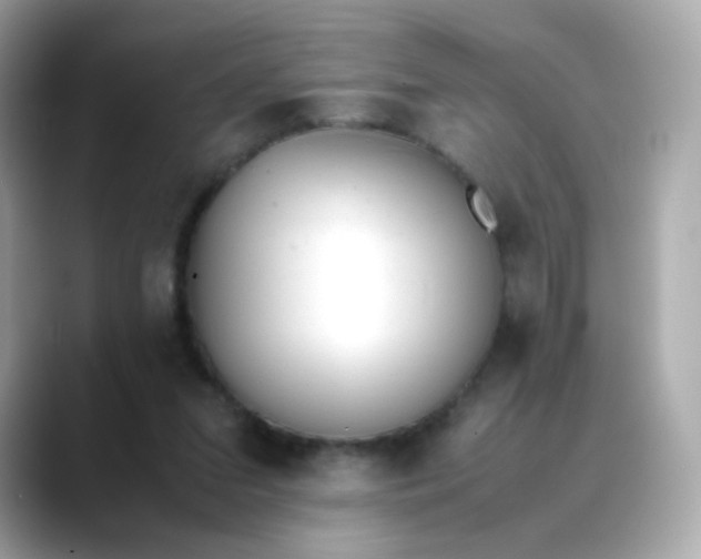 X0000088420207200706051217