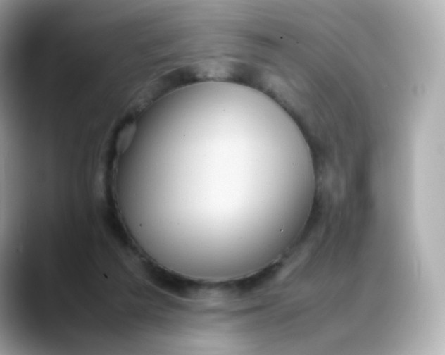 X0000088420209200706051217