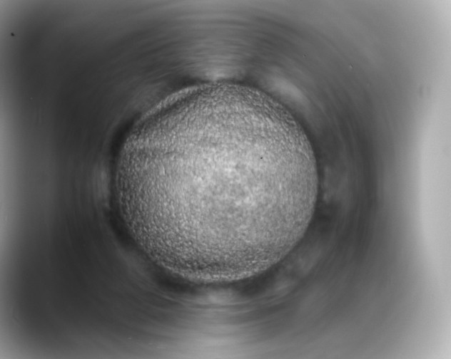 X0000088420210200706051217