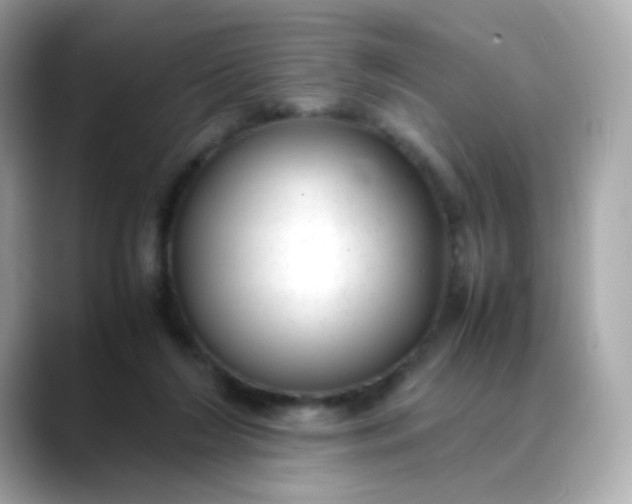 X0000088420212200706051217