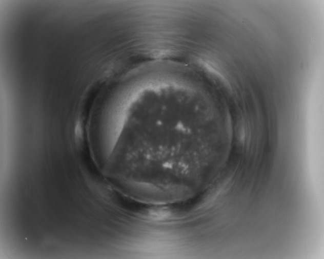X0000088420214200706051217