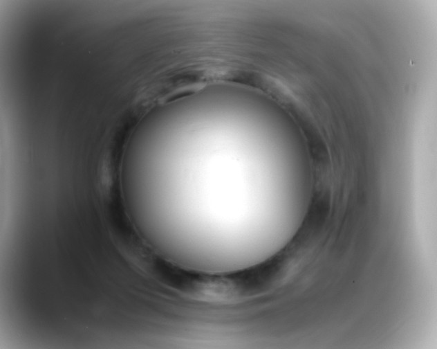 X0000088420215200706051217