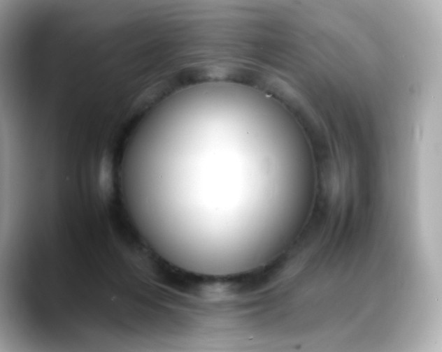 X0000088420216200706051217