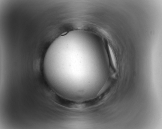 X0000088420217200706051217