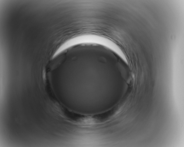 X0000088420219200706051217