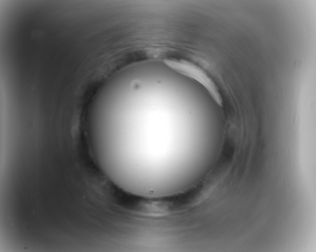 X0000088420221200706051217