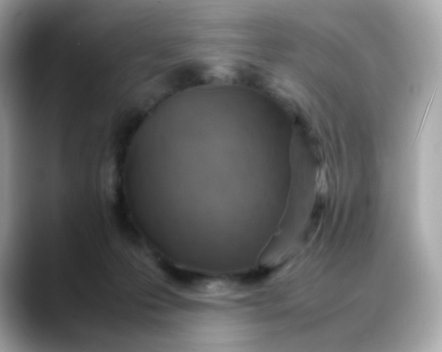 X0000088420223200706051217