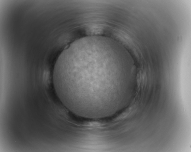 X0000088420224200706051217