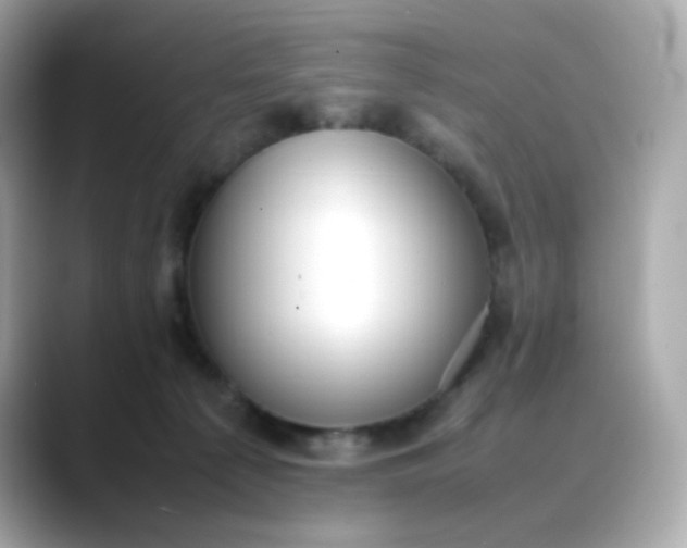 X0000088420225200706051217