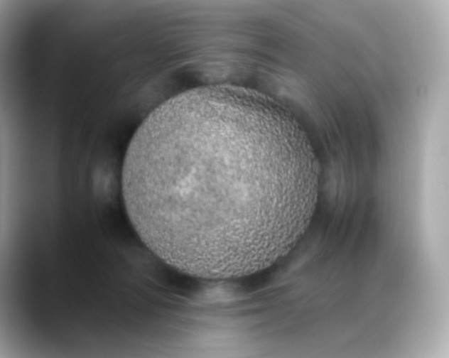 X0000088420226200706051217