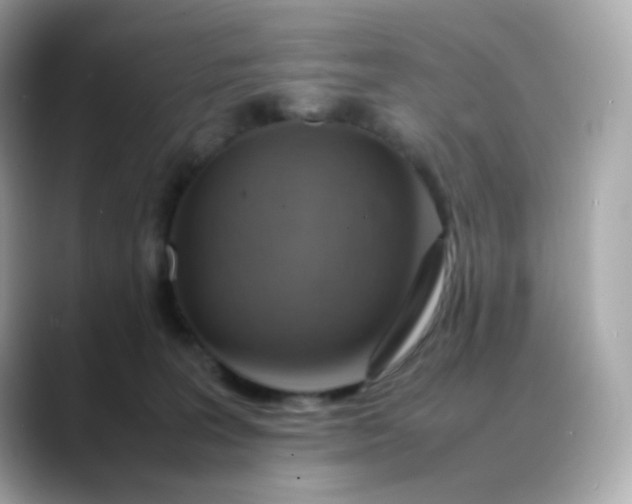 X0000088420227200706051217