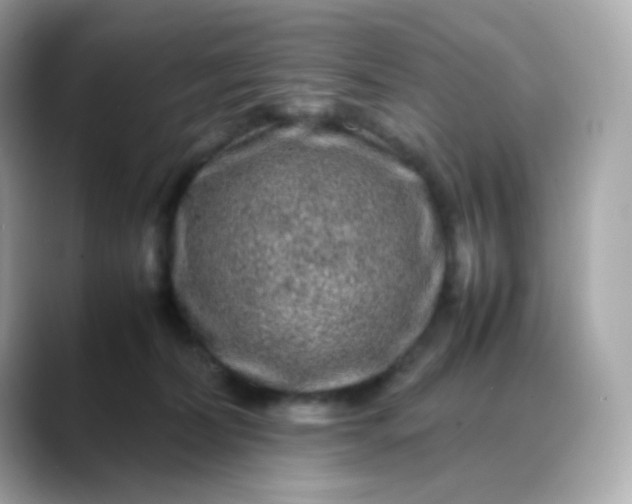 X0000088420228200706051217